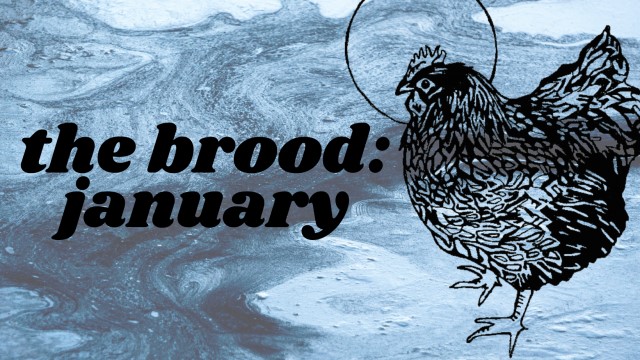 The Brood: January