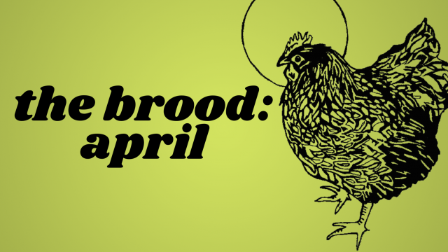 The Brood April Updates