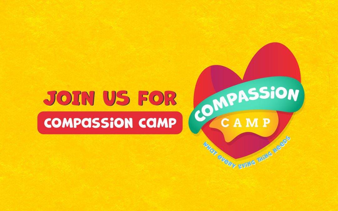 Compassion Camp