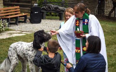 Blessing of the Animals – Sunday October 13