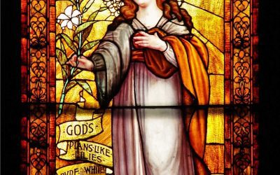 History of the Stained-Glass Windows