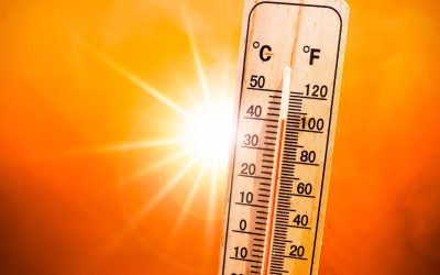 Beat the Heat: Keeping Our Community Safe