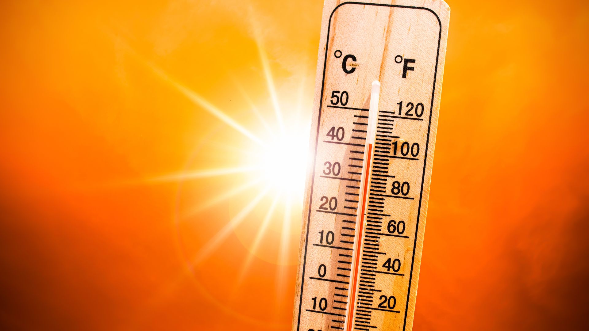 Beat the Extreme Heat